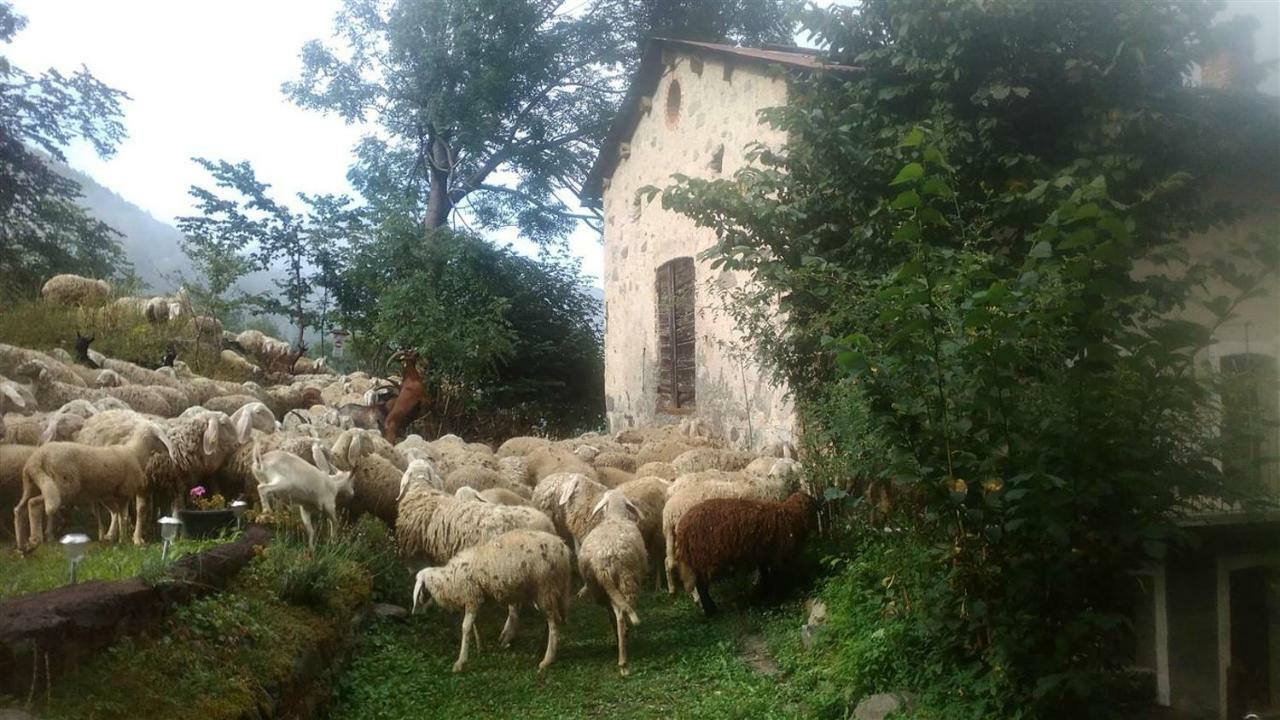 B&B L'Abric - Centro Storico Di Limonetto Limone Piemonte Dış mekan fotoğraf